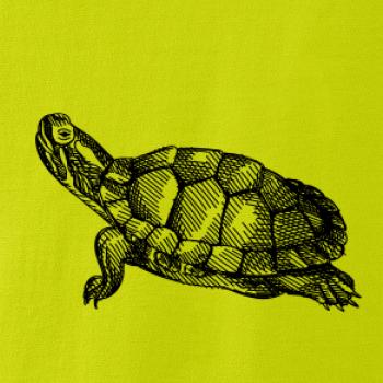 Ceruzkou kreslená korytnačka