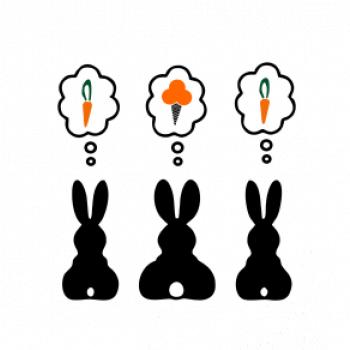 Králici premýšľajú, čo by zožrali