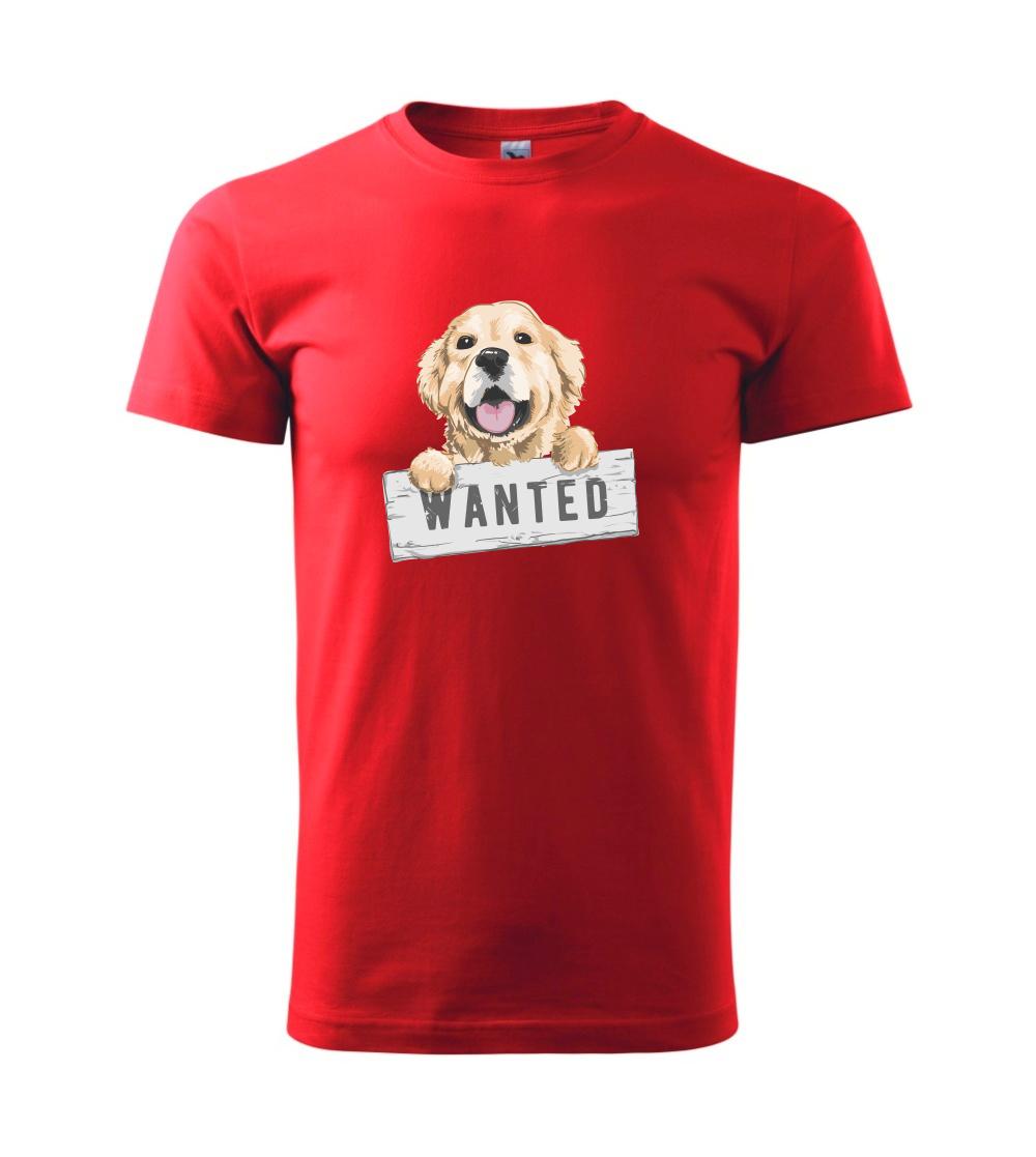 Zlatý retriever - šteniatko wanted Zlatý retriever - šteniatko wanted
