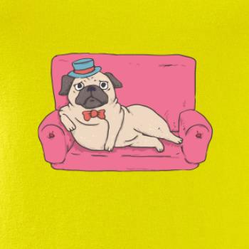 Mops na gauči