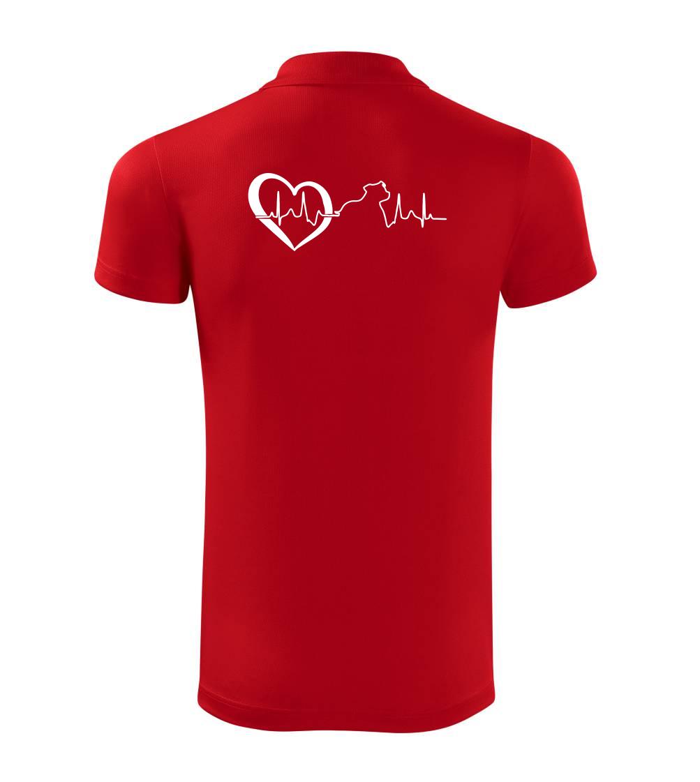 Stafordšírsky bulteriér  EKG Stafordšírsky bulteriér  EKG