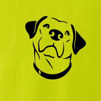 Labrador obrys