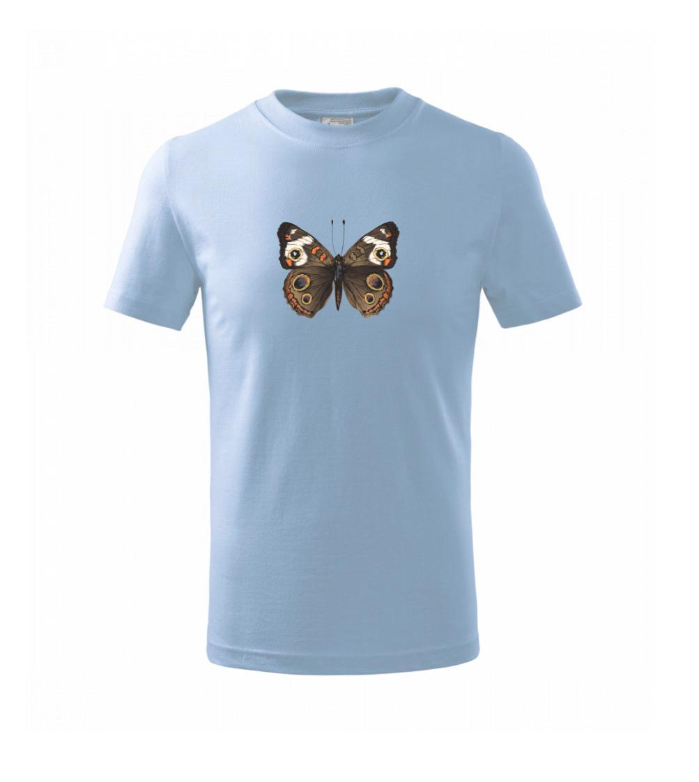 Motýľ motýle Motýľ motýle