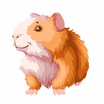 Morča - kreslené, bielo oranžové Morča - kreslené, bielo oranžové