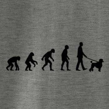 Evolúcia pes pudel (muž-žena) Evolúcia pes pudel (muž-žena)