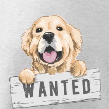 Zlatý retriever - šteniatko wanted