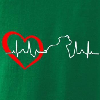 Stafordšírsky bulteriér ‎ EKG