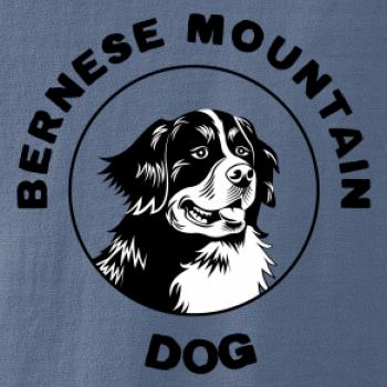 Bernese mountain dog v kruhu