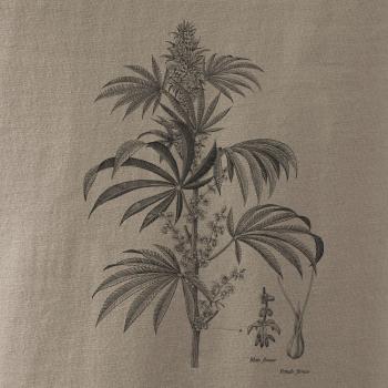 Konope kvietok čiernobiely  