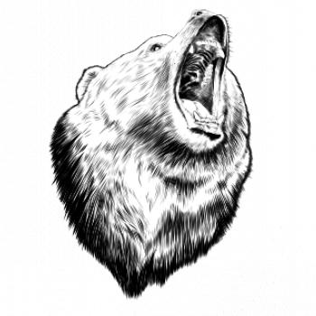 Medveď trošku naštvaný