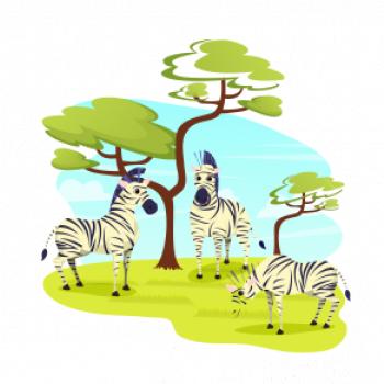 Zebry pod stromom