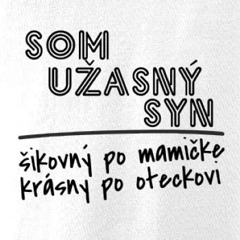 Som úžasný syn