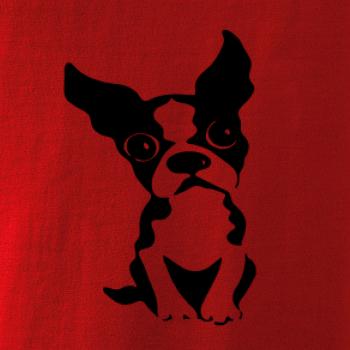 Bostonský teriér Bostonský teriér