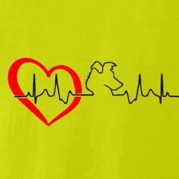 Borderská kólia EKG Borderská kólia EKG