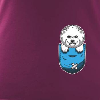 Bišonek v kapsičce