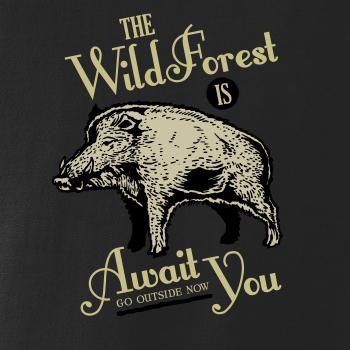  Wild forest diviak