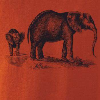 Slonica a sloníča kreslené