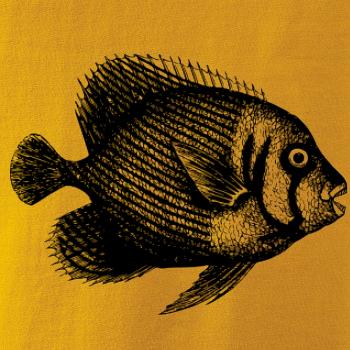 Morská ryba kreslená