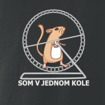 Som v jednom kole