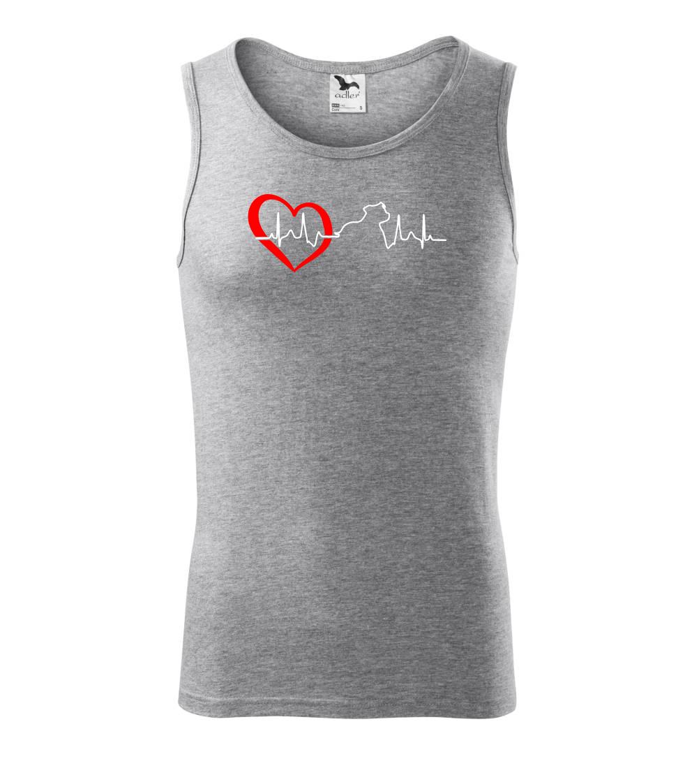 Stafordšírsky bulteriér  EKG Stafordšírsky bulteriér  EKG