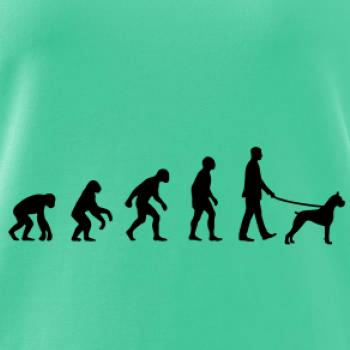 Evolúcia pes boxer (muž-žena)