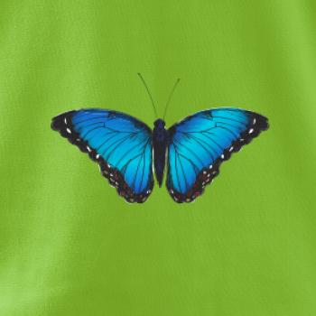 Motýľ Babôčka Morpho Peleides