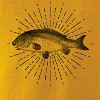 Ryba v lúčoch