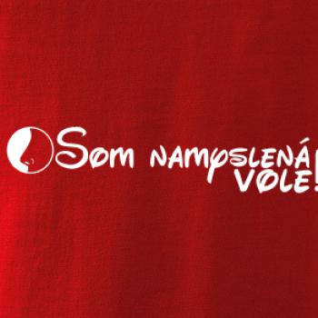 Som namyslená vole!