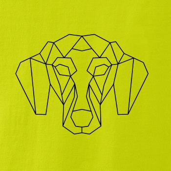 Jazvečík - Geometria 