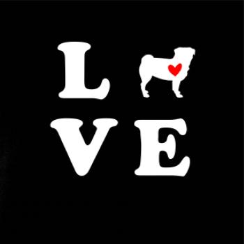 Mops love