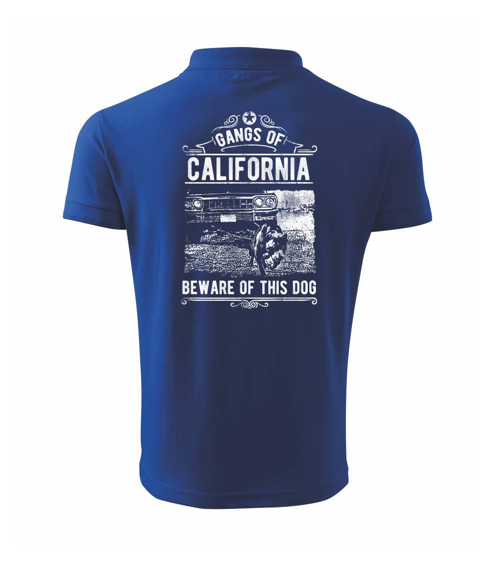 Gangs Of California Gangs Of California