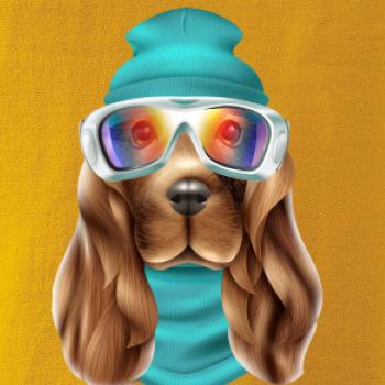 Jazvečík lyžiar   Jazvečík lyžiar