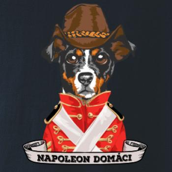 Napoleon domáci kríženec