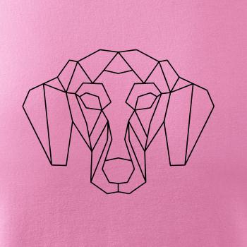 Jazvečík - Geometria 