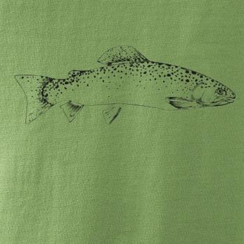 Pstruh duhový rovný