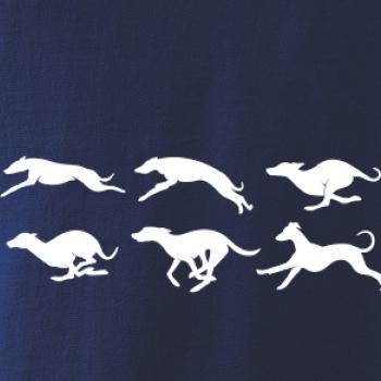 Chrt Pohyb Chrt Pohyb