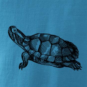 Ceruzkou kreslená korytnačka