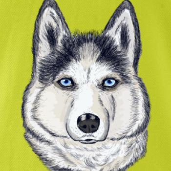 Husky hlava - kreslený
