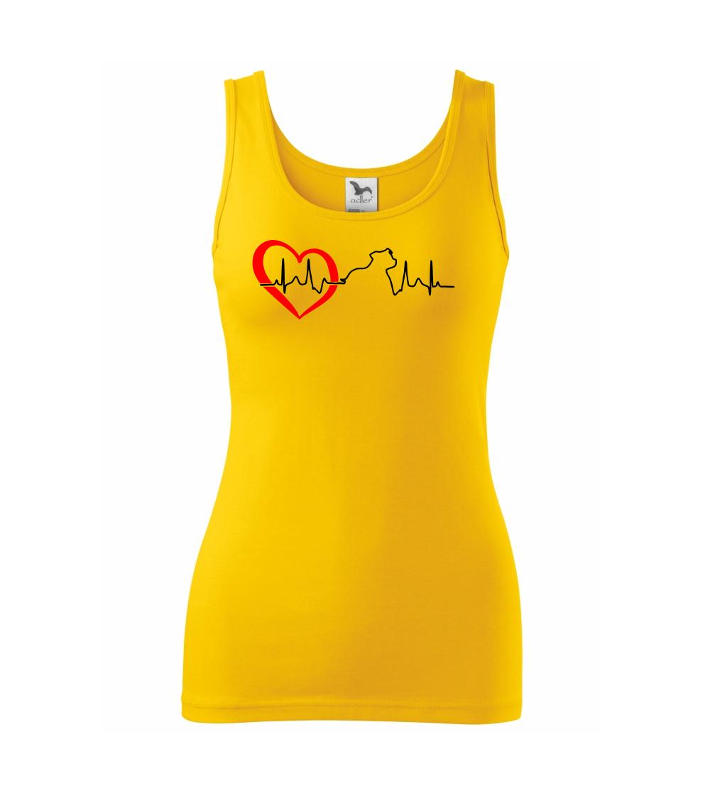 Stafordšírsky bulteriér ‎ EKG