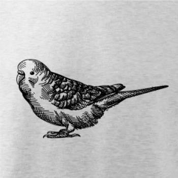 Ceruzkou kreslený Papagáj