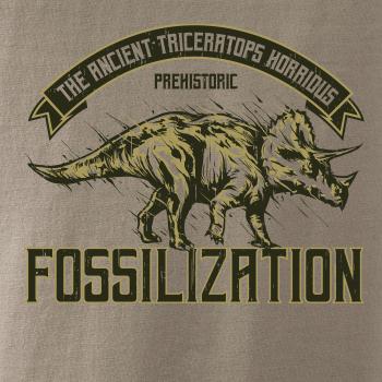 Triceratops fossil