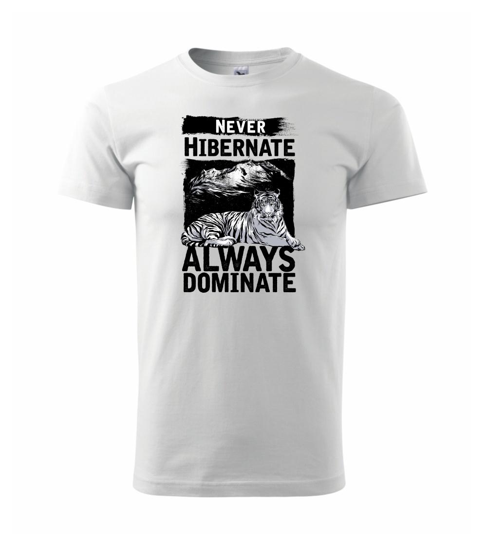 Never Hibernate Never Hibernate