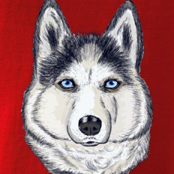Husky hlava - kreslený Husky hlava - kreslený