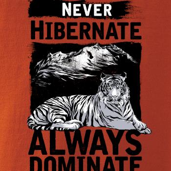 Never Hibernate