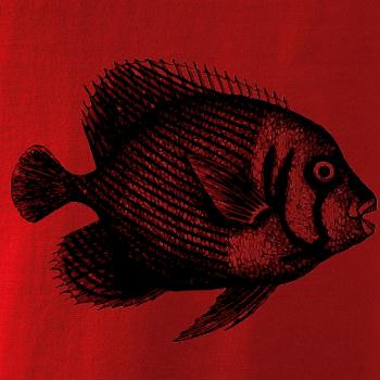 Morská ryba kreslená