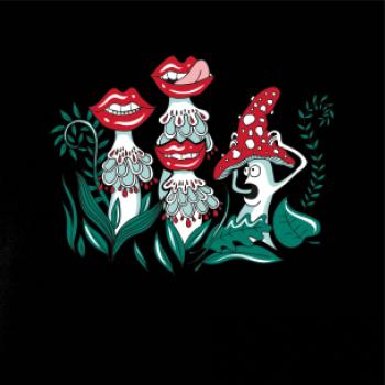 Zmyselné huby (Pecka design)