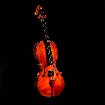 Husle na výšku Husle na výšku