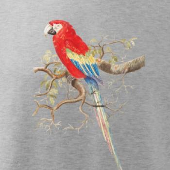 Papagáj  na listnatom strome