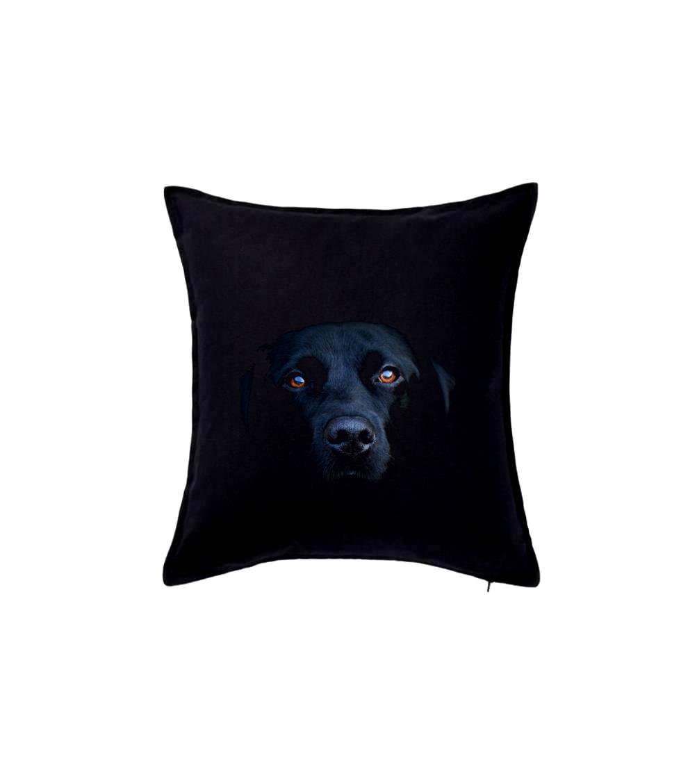Čierny Labrador fotka Čierny Labrador fotka