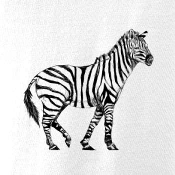 Zebra kreslená